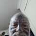 Fergus's profile picture