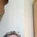 hnot442's profile picture