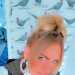 Diamond16's profile picture