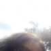 Ian_a251