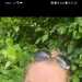 Threesome's profile picture