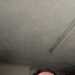 Moley's profile picture