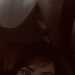 Denlly1245's profile picture