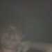 Cougarlover's profile picture