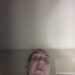Shaun 's profile picture