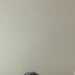 Millerboy's profile picture