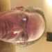 jjdcdega's profile picture