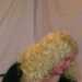 karenmead's profile picture