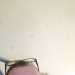 lott867's profile picture