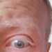 papasmurfking's profile picture