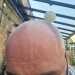 pete36's profile picture