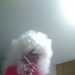 petelind6119's profile picture
