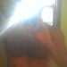 plsmoresir's profile picture