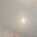 rdumbri983's profile picture