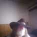 rickwoodw924's profile picture