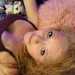 sananthas821's profile picture