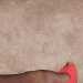 sheerpantyh826