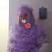 peppersmuffy's profile picture