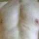 steve69bas