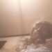 tatyana79's profile picture