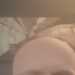 Michael's profile picture