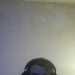 Troy's profile picture