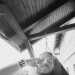 Alessio's profile picture