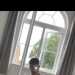 Ollie's profile picture