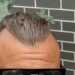 Rass's profile picture