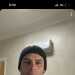 Wayne's profile picture