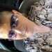 Jeanette's profile picture