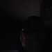 Ryan's profile picture