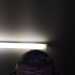 Andrew's profile picture