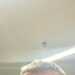 James's profile picture