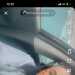 Missmiss's profile picture