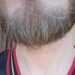 Dave's profile picture