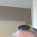 Neil's profile picture
