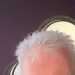 Steve's profile picture