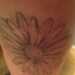 Nicola's profile picture
