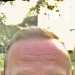 Steve's profile picture