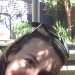 Ilda's profile picture