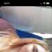 Abbifarmerxo's profile picture