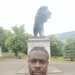 Farai's profile picture