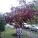 watsone3965's profile picture