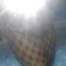 Msoye's profile picture