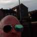 Gavin's profile picture