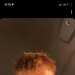 Josh's profile picture