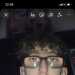 Bob's profile picture
