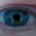 Paul's profile picture