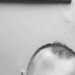 James's profile picture